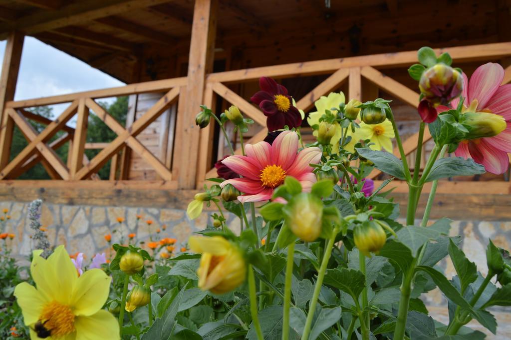 Apartment Mateja โมกราโกรา ภายนอก รูปภาพ